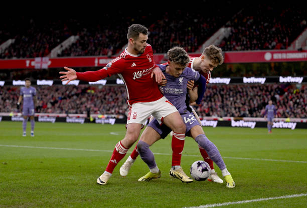 的球迷基础 的球迷基础